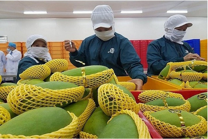 Clorin hiệu quả trong khử trùng hoa quả tươi