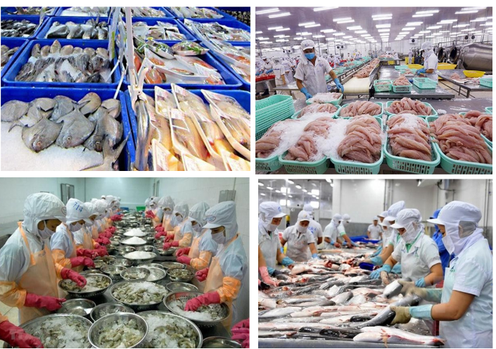 Clorin trong công nghiệp thực phẩm