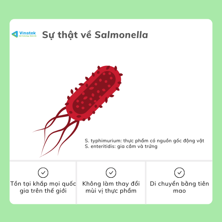 Top những sự thật về vi khuẩn Salmonella